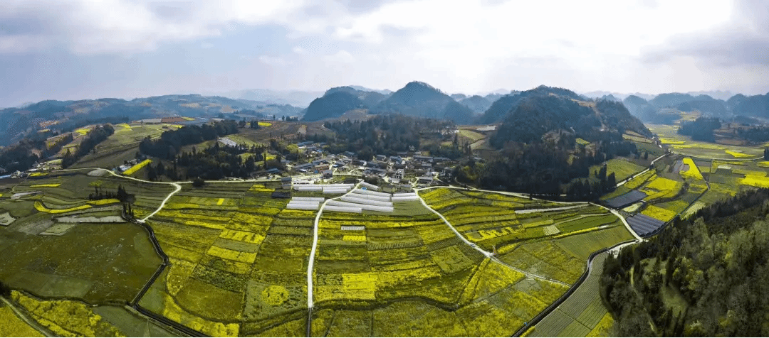 乐天堂·fun88(中国区) - 官方网站