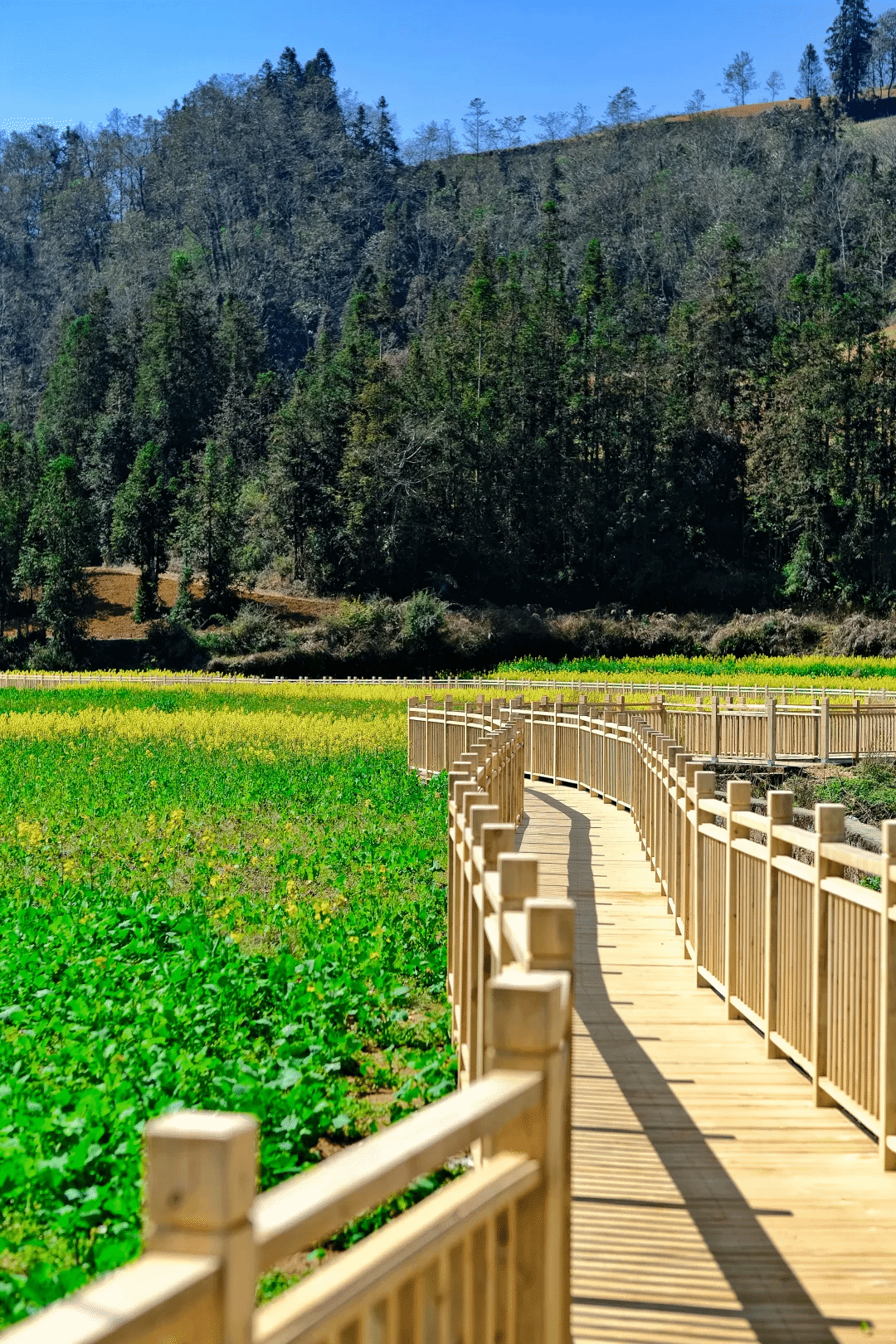 乐天堂·fun88(中国区) - 官方网站