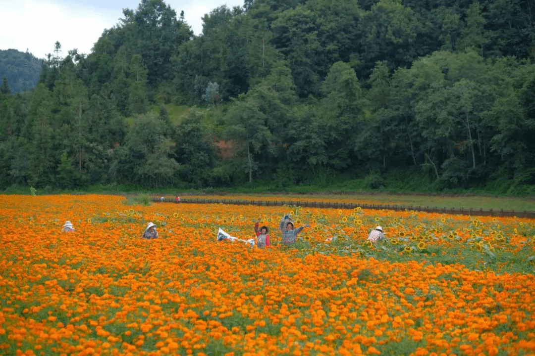 乐天堂·fun88(中国区) - 官方网站