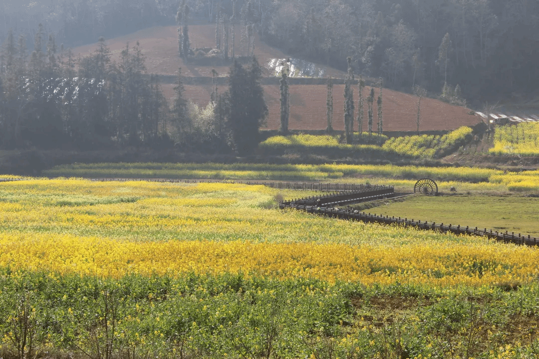 乐天堂·fun88(中国区) - 官方网站